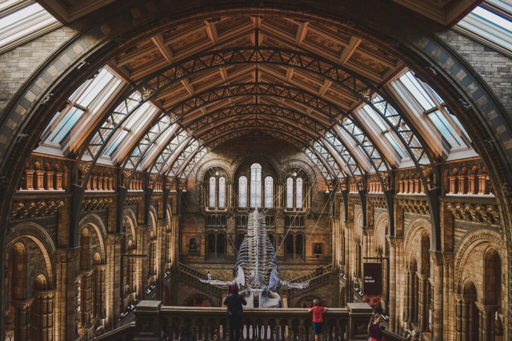 What are the best museums in London? Essential Picks What are the best museums in London? Essential Picks